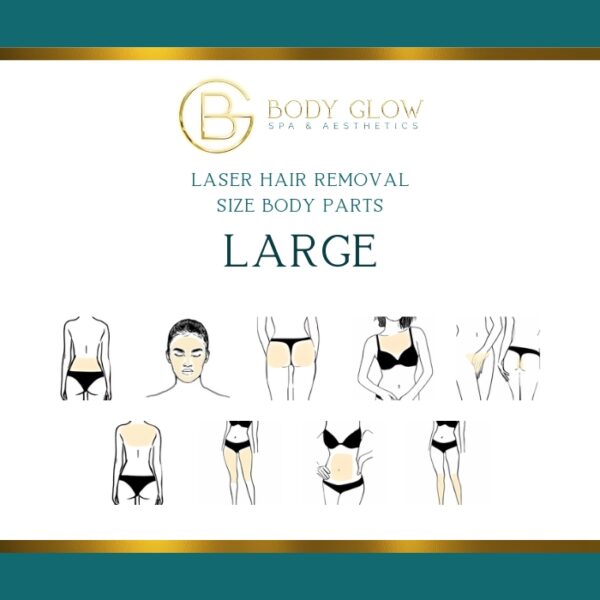 LASER HAIR REMOVAL WOMEN BODY PARTS SIZE - Large