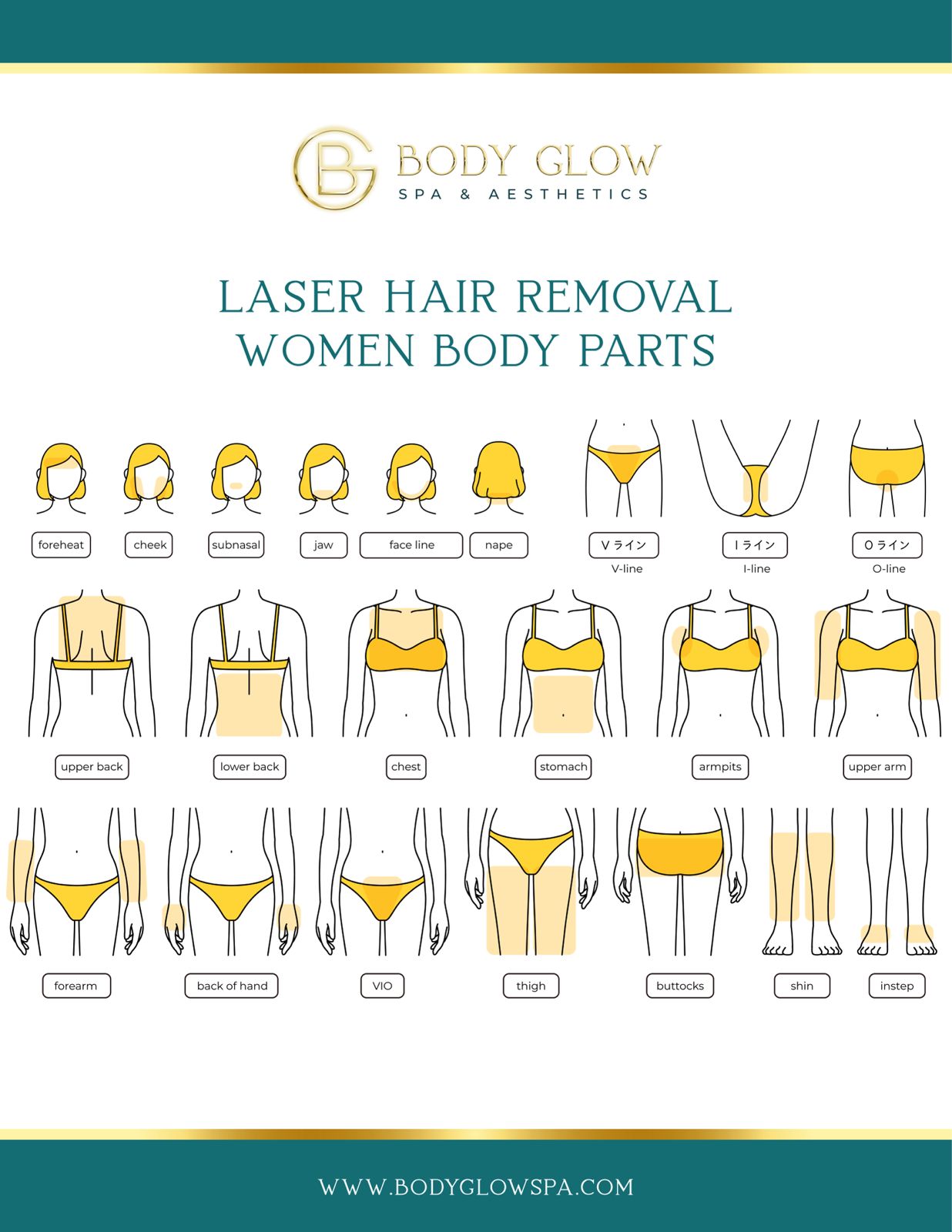Laser Hair Removal Women Size Areas